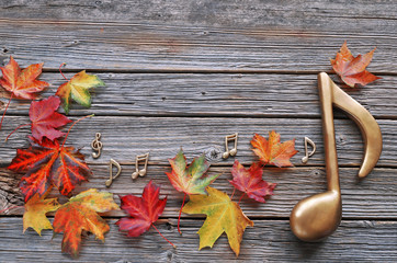 Maples leaves with music notes on wooden background 