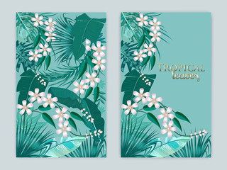 Vector tropical background in Quetzal Green colors. Botany design for cover.