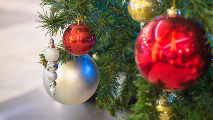 Red and golden Christmas ball on fir tree branch 