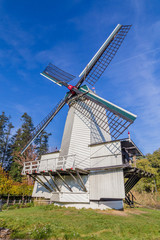 Obraz premium Historic Dutch scene with windmill