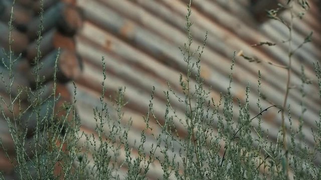 An ancient Slavic pagan city built of wood, excellent scenery for a historical film, old wooden churches and houses, an orthodox cross, summer time, no people in the frame, old Kiev