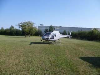 Auf der wiese gelandet