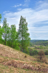 Obraz premium spring landscape in the wild Sunny day