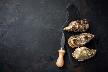 Fresh oysters on dark background