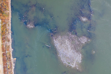 kamienie i pień drzewa w rzece o zachodzie słońca widok od góry © Arkadiusz