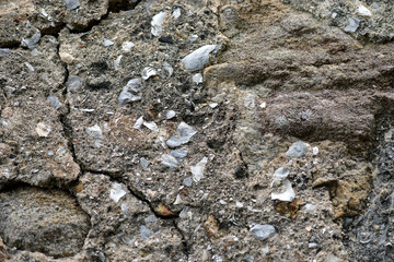 Detail of centennial wall, made of ston and shells