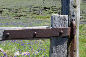 antique iron hinges on the gate at the entrance to the ranch