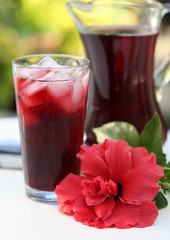 HIBISCUS OR ROSELLE JUICE