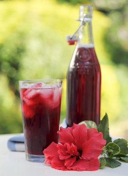 HIBISCUS OR ROSELLE JUICE