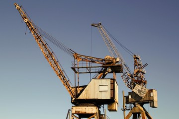 Fototapeta na wymiar Cranes in skyline