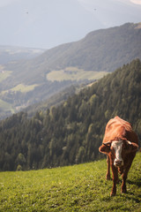 Lüsen, Südtirol 