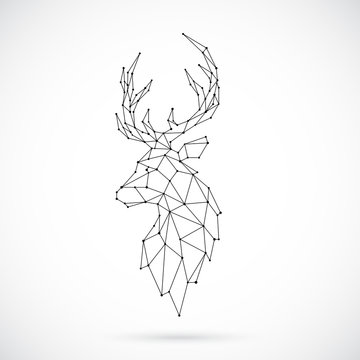 Geometric Deer silhouette. Image of Deer in the form of constellation. Vector illustration.