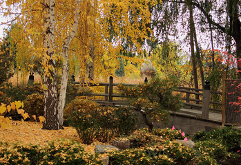 A City Park In Autumn in Denver, Colorado