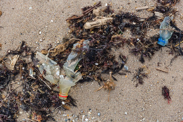 Empty used dirty plastic bottles on the beach. Environmental pollution at the beach