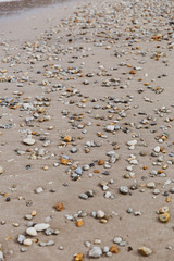 Fototapeta na wymiar Pebbles on sandy beach