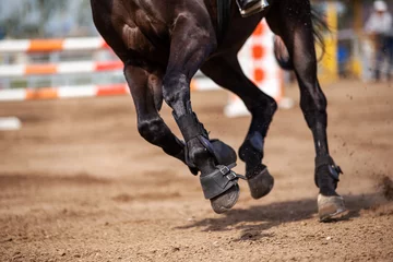 Zelfklevend Fotobehang Horse and rider. Equestrian sport © Volha