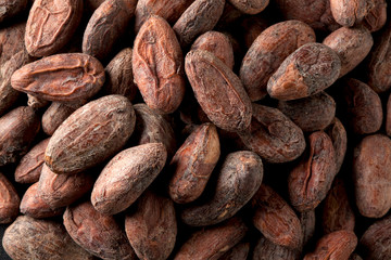 COCOA BEANS