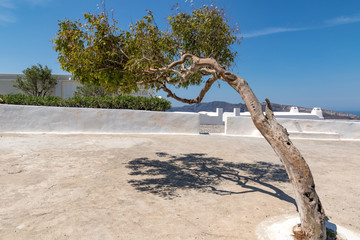 Santorin