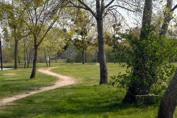 Ville de Salbris, Sologne, les bords de la Sauldre et le parc municipal, département du Loir et Cher, France