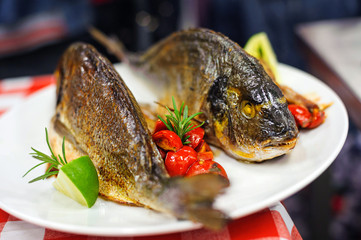 Grilled Dorado with Spicery on white plate