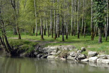 Obraz premium Ville de Salbris, Sologne, les bords de la Sauldre, département du Loir et Cher, France