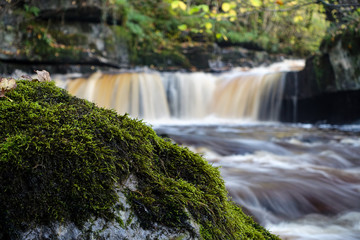 Waterfall in the forest, mountain, flowing, beauty, park, creek, stone, environment, natural, flow, tree, summer, Yorkshire dales national park, cumbria, Garsdale, united kingdom