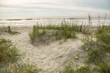 Surf and Sand Dunes