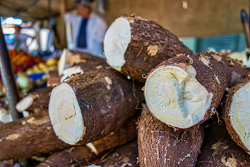 Manioc - Cassava at a free street fair in Brazil