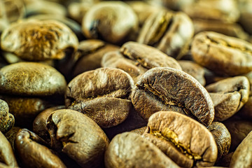 Roasted coffee beans in closeup