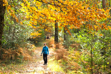 Obraz premium hiking trekking with backpacks in autumn forest with woman unfocused