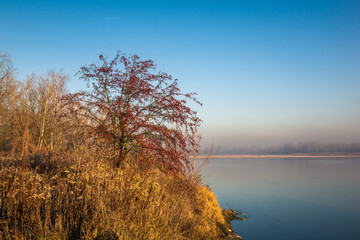 Fototapeta na wymiar Vistula River near Konstancin-Jeziorna, Masovia, Poland