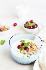 Healthy breakfast with bowl of homemade granola with yogurt, fresh cranberries, honey and mint. Vegetarian food concept. Top view. Copy space.