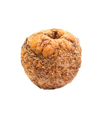 Rotten apple isolated on white background.