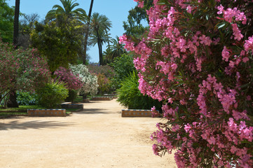 Jardines de Murillo, Sevilla, Andalusien, Spanien