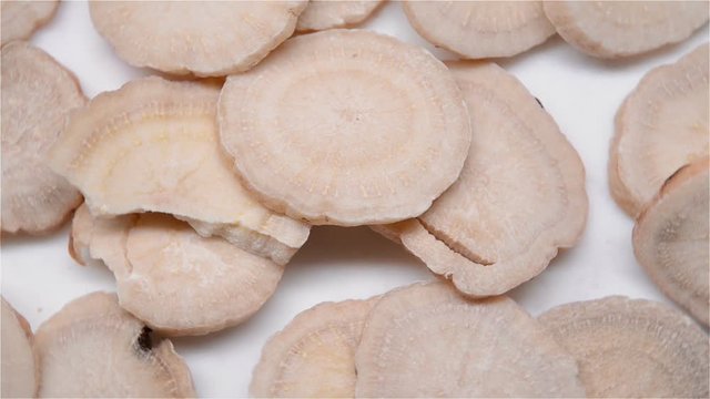 Chinese herb of Paeoniae Radix Alba or White Peony Root rotating