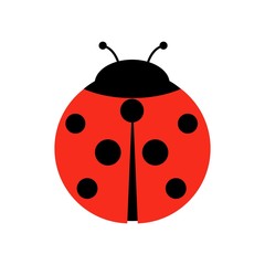 Ladybug or ladybird vector graphic illustration, isolated. Cute simple flat design of black and red lady beetle