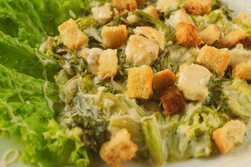 Caesar salad with crackers, chicken fillet, white sauce and seasonings