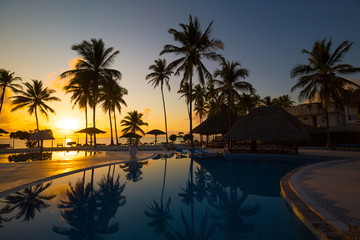 Fototapeta na wymiar Zanzibar, landscape sea, palms beach, sunset