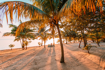 Chairs on tropical beach