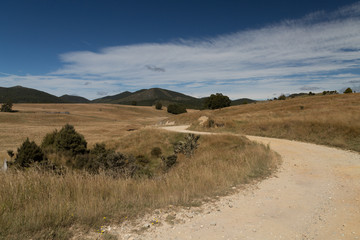 Schotterweg durch Wiesen