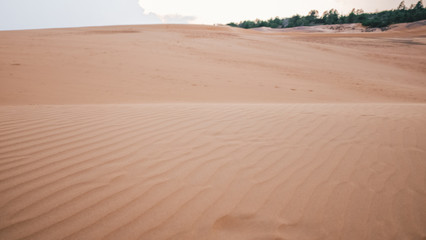 Fototapeta na wymiar Sand dunes in Mue Ne, Vietnam