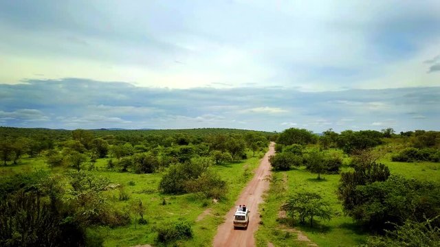 Tourist traveling in safari 4K