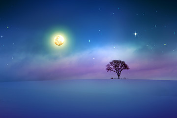 Winter landscape with black tree and full moon.