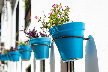 Blue flowerpot on a wall, Spanish Flowerpot