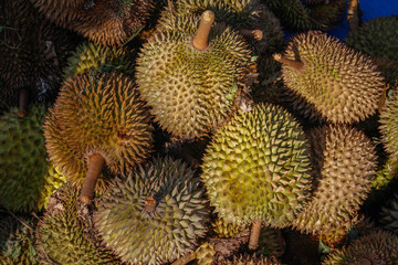 Naklejka na ściany i meble The king of fruit is fresh and ripe durian sold in every Asian market