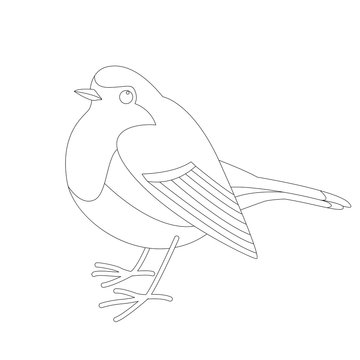  robin bird , vector illustration  ,lining