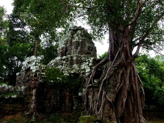Ruines aval&eacute;es par la jungle, Angkor, Siem Reap, Cambodge