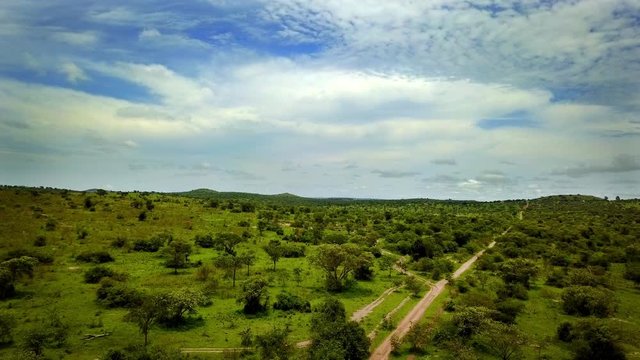 Panoramic view of safari landscape
