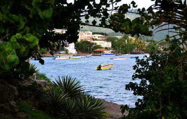 Scene of Sainte-Luce harbor in Caribbean island of Martinique, just before sunset. Fishing boats in...