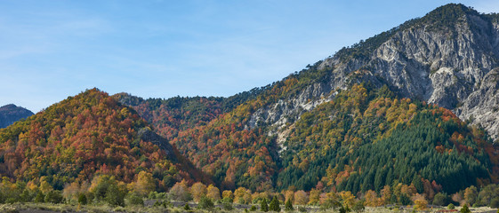 Autumn in Conguillio National Park in southern Chile. Trees in autumn foliage in the foreground;...